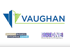 Dalikoo CEO is interviewed by the City of Vaughan Business Enterprise Centre.